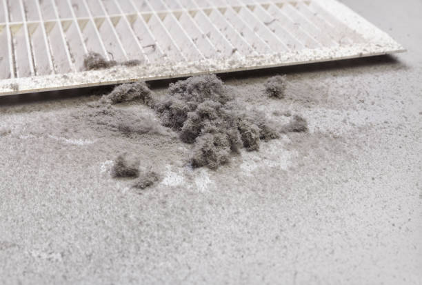 Best Air Duct Cleaning Near Me  in Woodville, FL