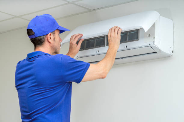 Air Duct Mold Removal in Woodville, FL